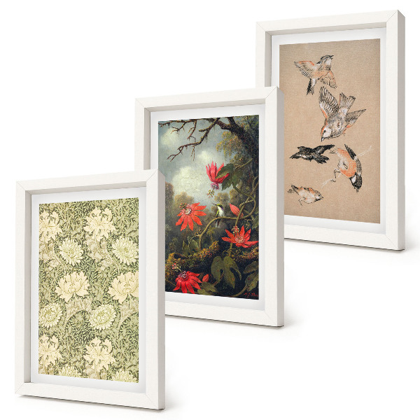 Set 3 tablouri Flori și păsări în mediul natural