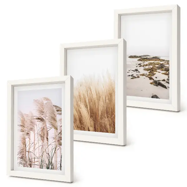 Set de 3 tablouri Câmpuri de pampa și plajă boho set de 3 tablouri cu motive boho reprezentând câmpuri de pampa și o plajă