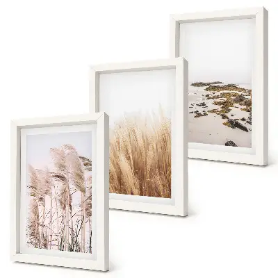 Set de 3 tablouri Câmpuri de pampa și plajă boho set de 3 tablouri cu motive boho reprezentând câmpuri de pampa și o plajă