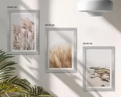 Set de 3 tablouri Câmpuri de pampa și plajă boho set de 3 tablouri cu motive boho reprezentând câmpuri de pampa și o plajă