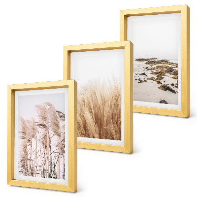 Set 3 tablouri Câmpuri de pampa și o plajă boho