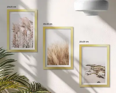 Set de 3 tablouri Câmpuri de pampa și plajă boho set de 3 tablouri cu motive boho reprezentând câmpuri de pampa și o plajă