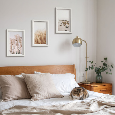 Set 3 tablouri Câmpuri de pampa și o plajă boho
