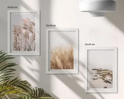 Set de 3 tablouri Câmpuri de pampa și plajă boho set de 3 tablouri cu motive boho reprezentând câmpuri de pampa și o plajă