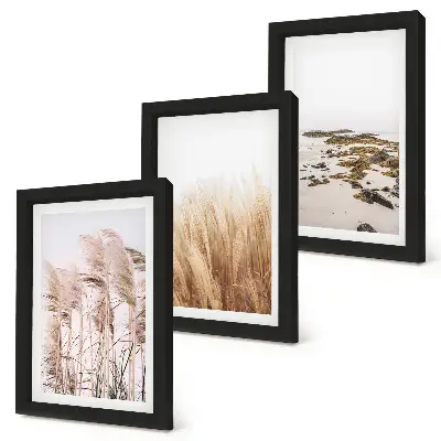 Set de 3 tablouri Câmpuri de pampa și plajă boho set de 3 tablouri cu motive boho reprezentând câmpuri de pampa și o plajă
