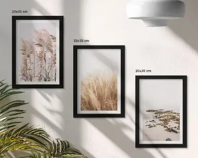 Set de 3 tablouri Câmpuri de pampa și plajă boho set de 3 tablouri cu motive boho reprezentând câmpuri de pampa și o plajă