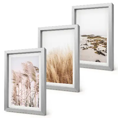 Set de 3 tablouri Câmpuri de pampa și plajă boho set de 3 tablouri cu motive boho reprezentând câmpuri de pampa și o plajă
