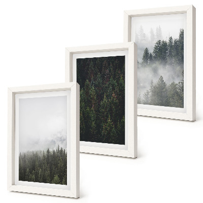 Galerie de perete Păduri verzi într-un cadru natural cețos