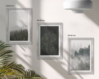 Galerie de perete Păduri verzi într-un cadru natural cețos