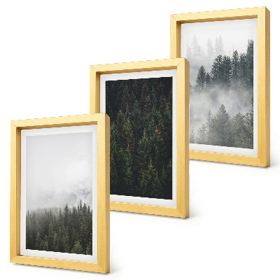 Galerie de perete Păduri verzi într-un cadru natural cețos