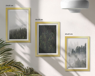 Galerie de perete Păduri verzi într-un cadru natural cețos