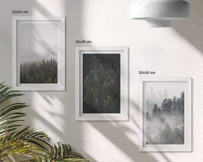 Galerie de perete Păduri verzi într-un cadru natural cețos