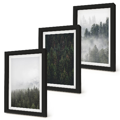 Galerie de perete Păduri verzi într-un cadru natural cețos