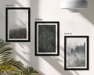 Galerie de perete Păduri verzi într-un cadru natural cețos
