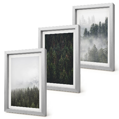 Galerie de perete Păduri verzi într-un cadru natural cețos