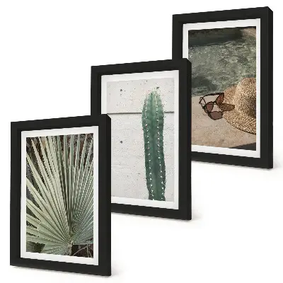 Set 3 tablouri cu plante tropicale și accesorii de vacanță pe malul apei