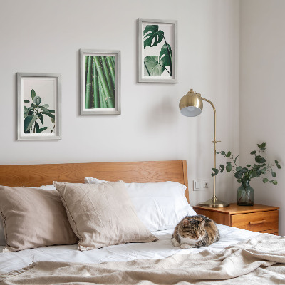 Set 3 tablouri Plantă de apartament cu tulpini de bambus și frunze de monstera
