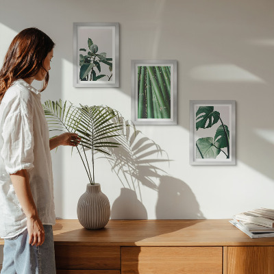 Set 3 tablouri Plantă de apartament cu tulpini de bambus și frunze de monstera