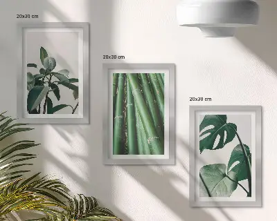 Set de 3 tablouri cu plantă de apartament cu tulpini de bambus și frunze de monstera