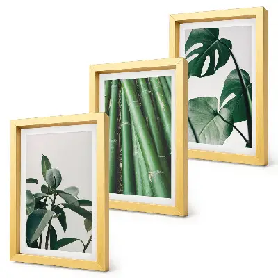 Set de 3 tablouri cu plantă de apartament cu tulpini de bambus și frunze de monstera