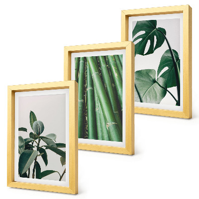 Set 3 tablouri Plantă de apartament cu tulpini de bambus și frunze de monstera