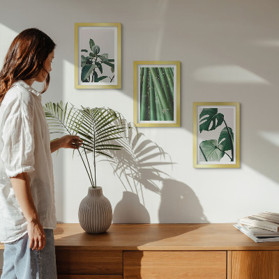 Set 3 tablouri Plantă de apartament cu tulpini de bambus și frunze de monstera