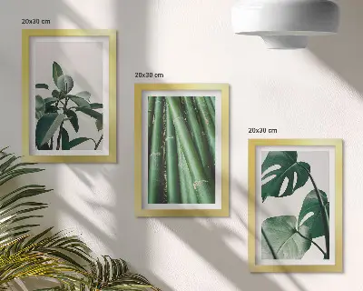 Set de 3 tablouri cu plantă de apartament cu tulpini de bambus și frunze de monstera