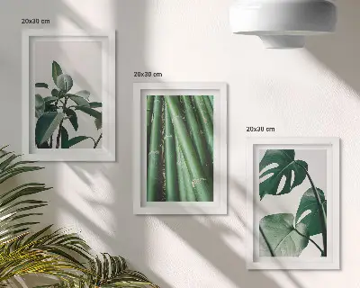 Set de 3 tablouri cu plantă de apartament cu tulpini de bambus și frunze de monstera