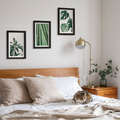 Set 3 tablouri Plantă de apartament cu tulpini de bambus și frunze de monstera