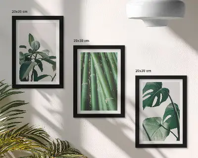 Set de 3 tablouri cu plantă de apartament cu tulpini de bambus și frunze de monstera
