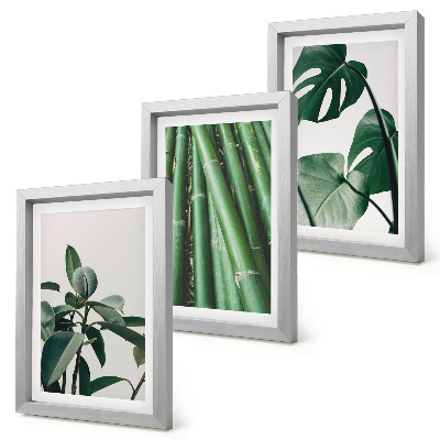 Set 3 tablouri Plantă de apartament cu tulpini de bambus și frunze de monstera