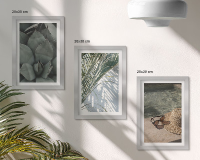 Galerie de perete Plante tropicale și accente de sărbători de vară