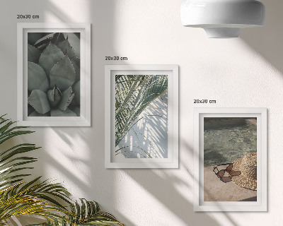 Galerie de perete Plante tropicale și accente de sărbători de vară