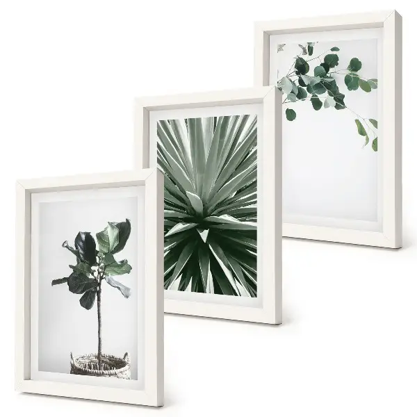 Set de 3 tablouri cu plante verzi în stil minimalist