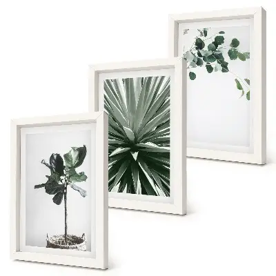 Set de 3 tablouri cu plante verzi în stil minimalist