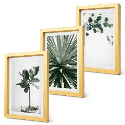 Set de 3 tablouri cu plante verzi în stil minimalist