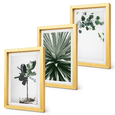 Set 3 tablouri Plante verzi într-un stil minimalist