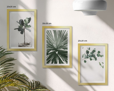 Set 3 tablouri Plante verzi într-un stil minimalist