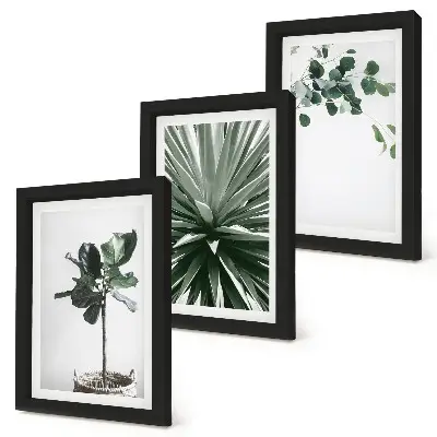 Set de 3 tablouri cu plante verzi în stil minimalist