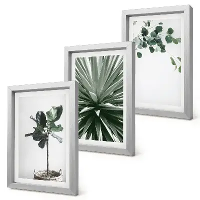 Set de 3 tablouri cu plante verzi în stil minimalist