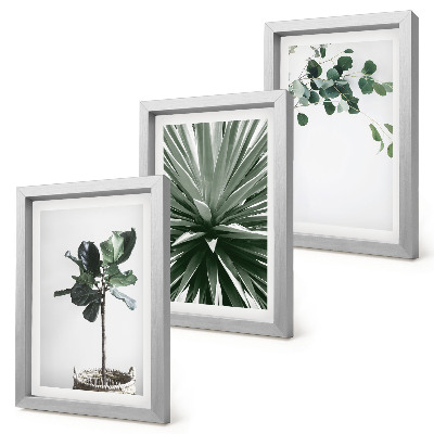 Set 3 tablouri Plante verzi într-un stil minimalist