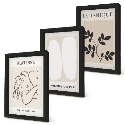 Galerie de perete Picturi minimaliste elegante cu motive vegetale de Matisse