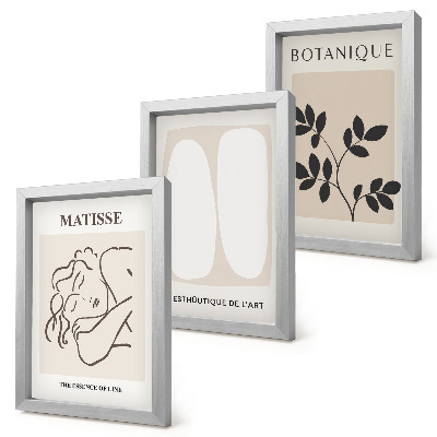 Galerie de perete Picturi minimaliste elegante cu motive vegetale de Matisse