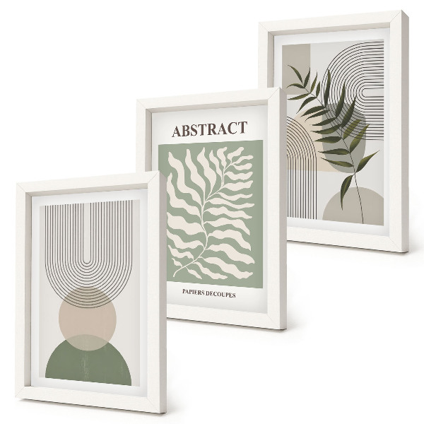 Set 3 tablouri Rezumate botanice în stil boho rustic
