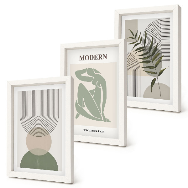 Set 3 tablouri Grafică elegantă cu forme abstracte și plante