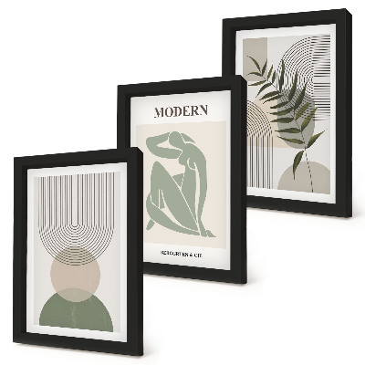 Set 3 tablouri Grafică elegantă cu forme abstracte și plante