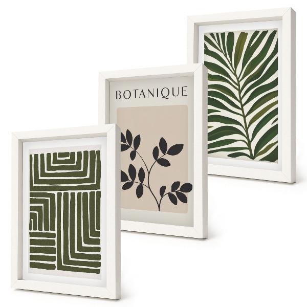 Set 3 tablouri Compoziții botanice în stilul minimalismului boho