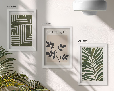 Set 3 tablouri Compoziții botanice în stilul minimalismului boho