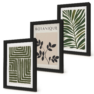 Set 3 tablouri Compoziții botanice în stilul minimalismului boho