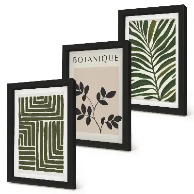 Set de 3 tablouri cu compoziții botanice în stil minimalism boho